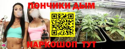 ГАЛЛЮЦИНОГЕННЫЕ ГРИБЫ Кингисепп
