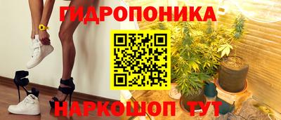 ГАЛЛЮЦИНОГЕННЫЕ ГРИБЫ Кингисепп