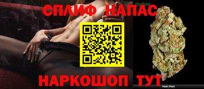 трава Кинель