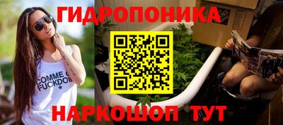 гидра Кимры
